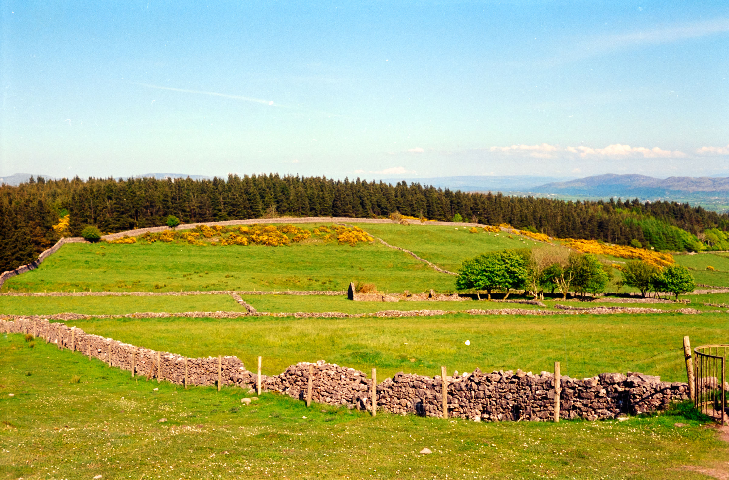 AHP F1998 05 003 sc240815 img21 NLP